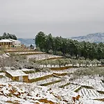 Quinta Soutelinho Sabrosa