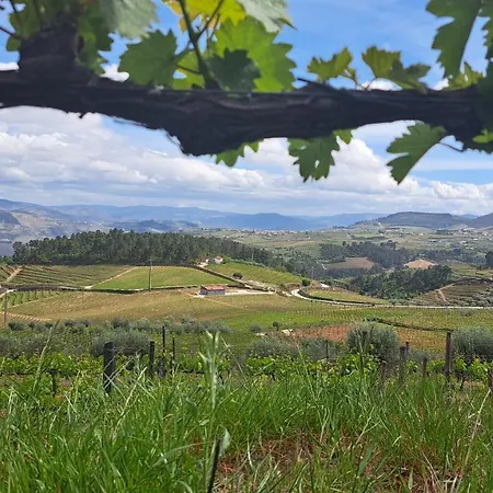 Quinta Soutelinho Apartment *