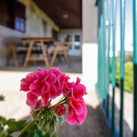 Quinta Soutelinho Appartement *