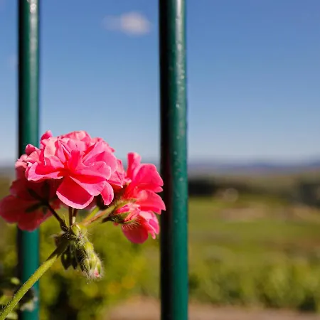 Apartment Quinta Soutelinho