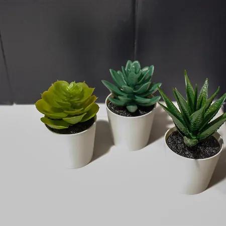 Quinta Soutelinho * Sabrosa