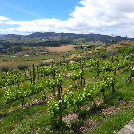 Quinta Soutelinho Sabrosa