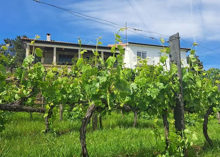 Quinta Soutelinho * Sabrosa