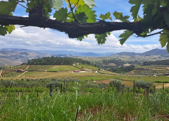 Quinta Soutelinho Apartmán *