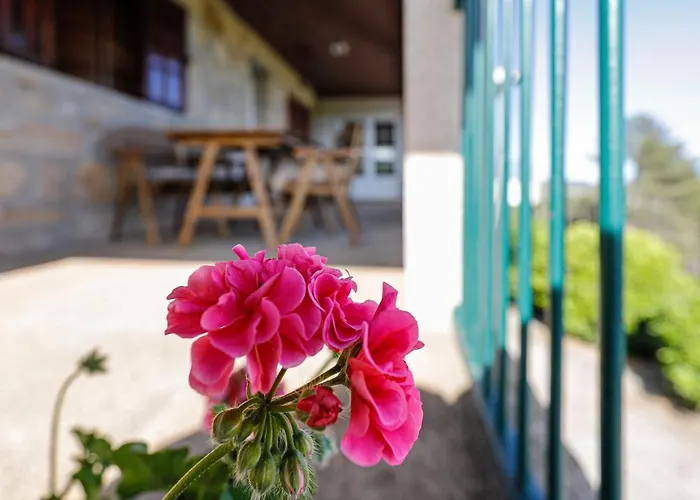 Quinta Soutelinho Apartmán *