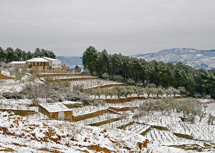 Quinta Soutelinho Sabrosa