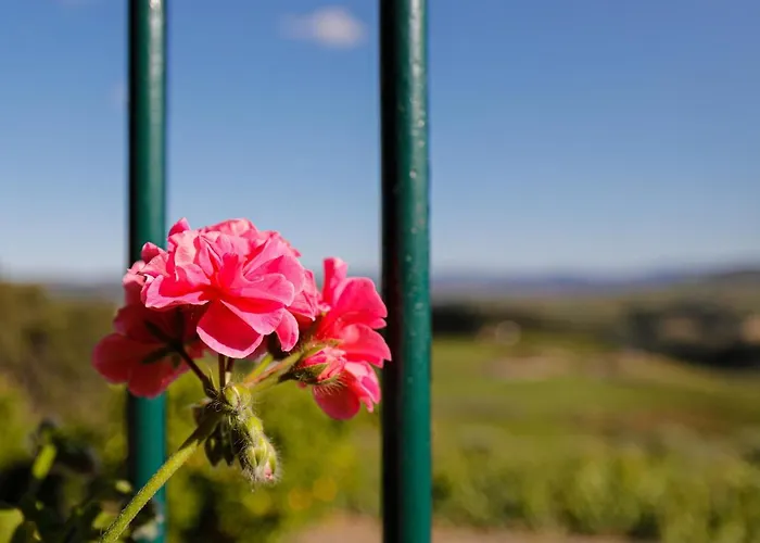 Apartmán Quinta Soutelinho
