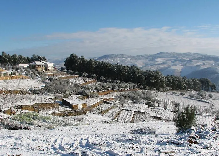 Quinta Soutelinho Apartmán *