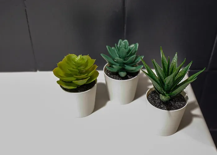 Quinta Soutelinho * Sabrosa