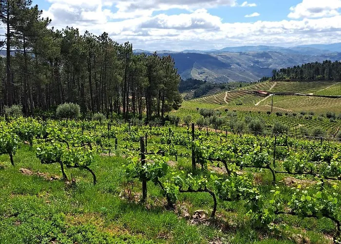 Quinta Soutelinho * Sabrosa