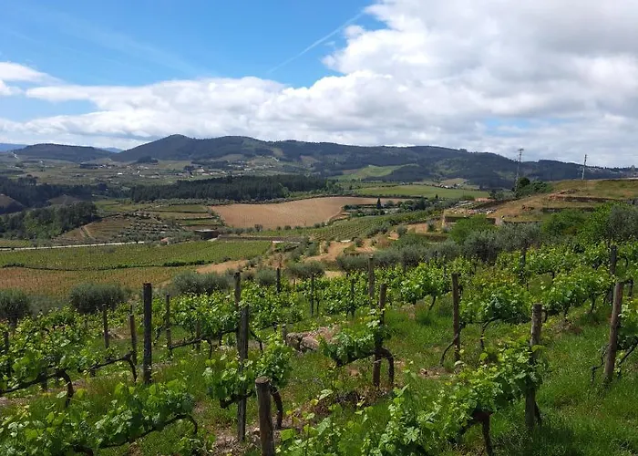 Apartmán Quinta Soutelinho Sabrosa