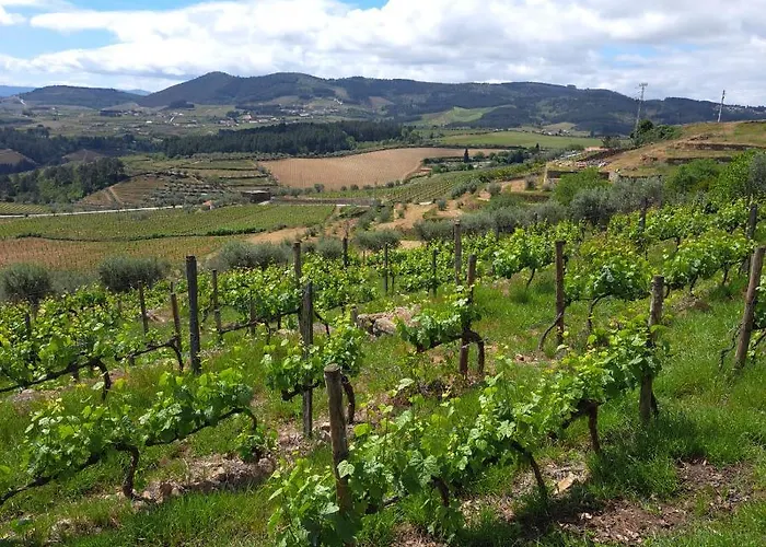 Quinta Soutelinho Sabrosa